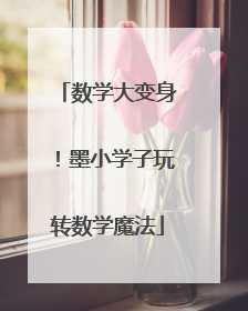 数学大变身！墨小学子玩转数学魔法